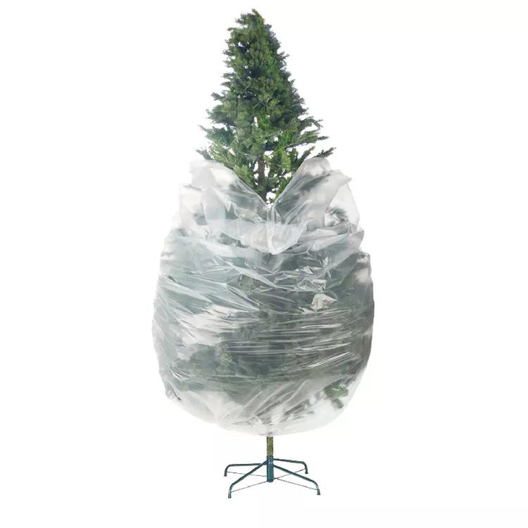 How do You keep Christmas trees after they are used?